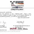 Ampliar imagem: certificate 317