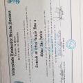 Ampliar imagem: certificate 11
