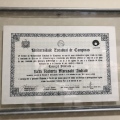 Ampliar imagem: certificate 1