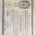 Ampliar imagem: certificate 13