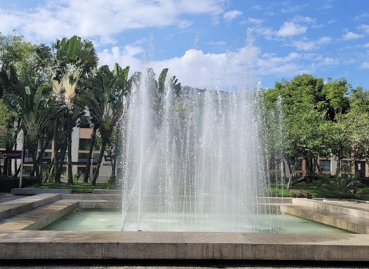 Danielle R Hassene-7