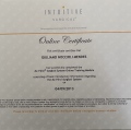 Ampliar imagem: certificate 3
