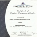 Ampliar imagem: certificate 11