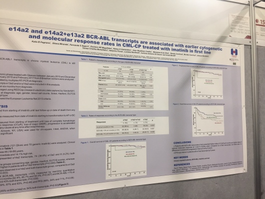 Renato Torrescasana  Centrone-6