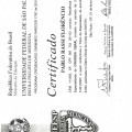 Ampliar imagem: certificate 3