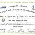 Ampliar imagem: certificate 4