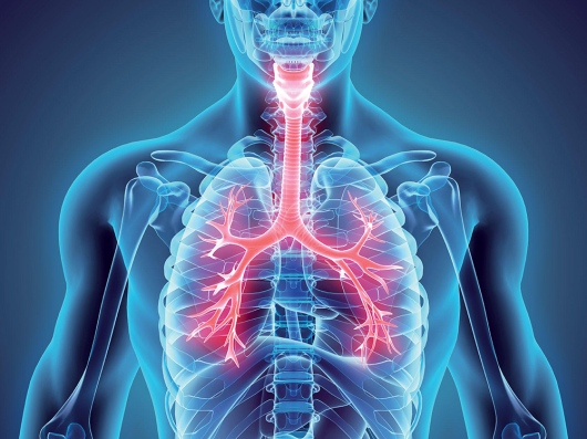 Fabio Alercio Costa Rodrigues-4