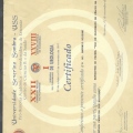 Ampliar imagem: certificate 19