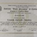 Ampliar imagem: certificate 3