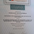 Ampliar imagem: certificate 11
