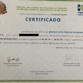 Ampliar imagem: certificate 19