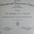Ampliar imagem: certificate 4