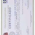 Ampliar imagem: certificate 1
