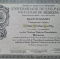 Ampliar imagem: certificate 3