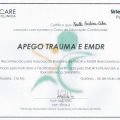 Ampliar imagem: certificate 12