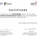 Ampliar imagem: certificate 15