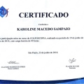 Ampliar imagem: certificate 3