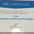 Ampliar imagem: certificate 11