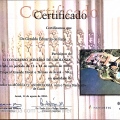 Ampliar imagem: certificate 159