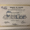 Ampliar imagem: certificate 2