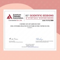 Ampliar imagem: certificate 6