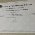 Ampliar imagem: certificate 10