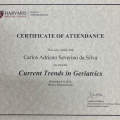 Ampliar imagem: certificate 3