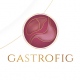 GASTROFIG - Gastroenterologia e Hepatologia Clinica e Cirúrgica