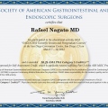 Ampliar imagem: certificate 6