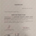 Ampliar imagem: certificate 7
