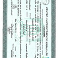 Ampliar imagem: certificate 2