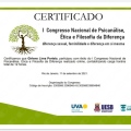 Ampliar imagem: certificate 13