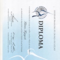 Ampliar imagem: certificate 7