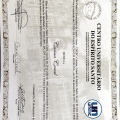 Ampliar imagem: certificate 10