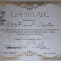 Ampliar imagem: certificate 5