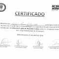 Ampliar imagem: certificate 124