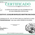 Ampliar imagem: certificate 16