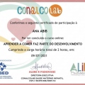 Ampliar imagem: certificate 12
