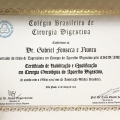 Ampliar imagem: certificate 3
