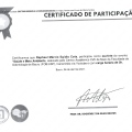 Ampliar imagem: certificate 9