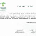 Ampliar imagem: certificate 2