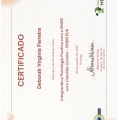 Ampliar imagem: certificate 9