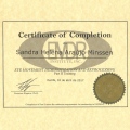 Ampliar imagem: certificate 8