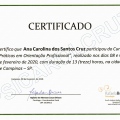 Ampliar imagem: certificate 3