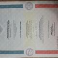 Ampliar imagem: certificate 1