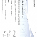 Ampliar imagem: certificate 7