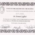 Ampliar imagem: certificate 2