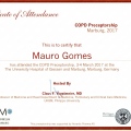 Ampliar imagem: certificate 3