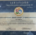 Ampliar imagem: certificate 21