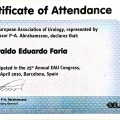 Ampliar imagem: certificate 109
